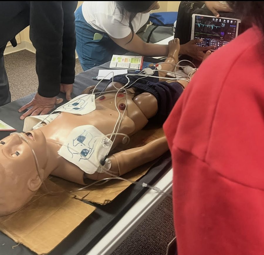 Pediatric manikin with AED pads applied and rhythm monitor showing ECG during PALS training